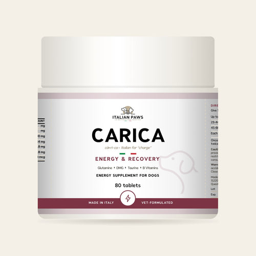 Carica Energy Supplement for Dogs jar